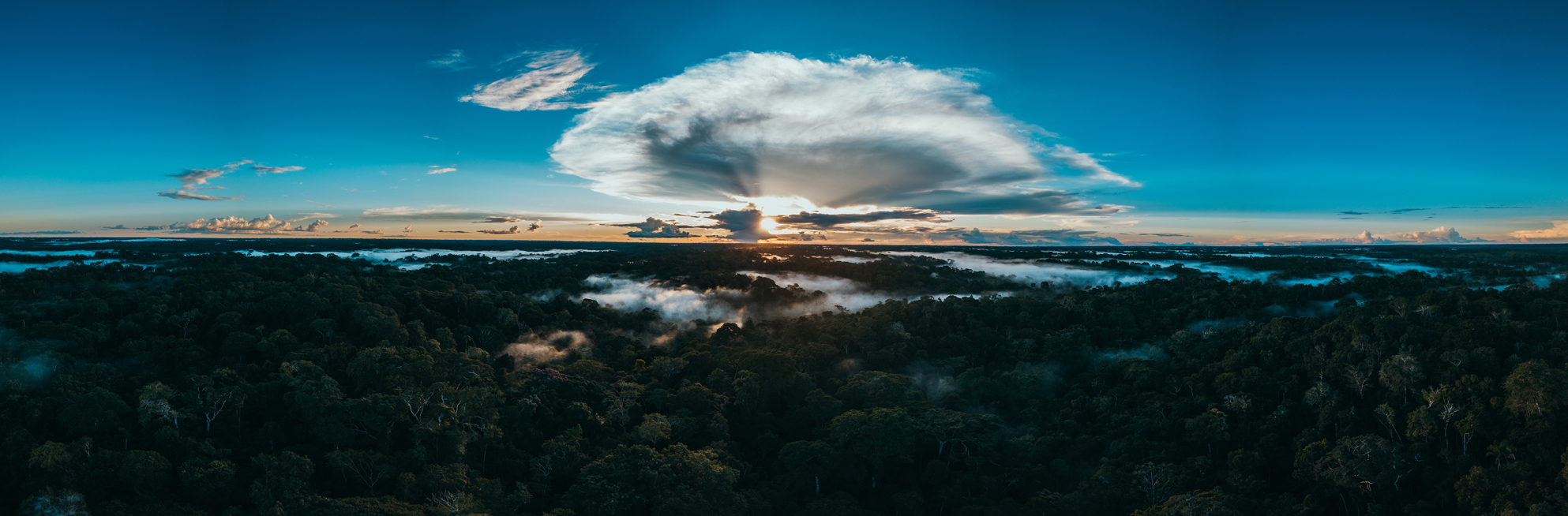 Photo : Flying Rivers by Guilherme Meneghelli, regenerative Amazon forest, collection Déco Brésil launched at the first event Amazonie Immersive Bruxelles 2022, at the cultural center TALK C.E.C.